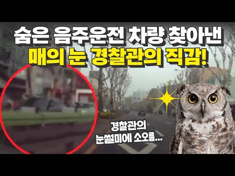 숨은 #음주운전 차량 찾아낸 '매의 눈' 경찰관의 직감🦅