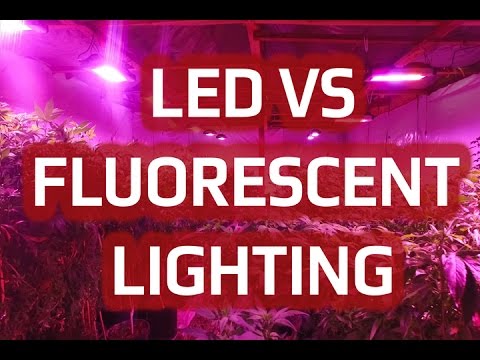 Led Grow Light Lumens Chart