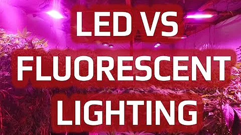 Compare Differences Between Fluorescent vs. LED Grow Lights | California LightWorks