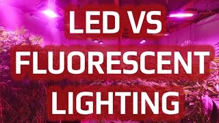 Compare Differences Between Fluorescent vs. LED Grow Lights | California LightWorks