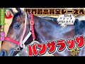 【遠足気分で? 行ってきま～す】パンサラッサ いざサウジカップへ