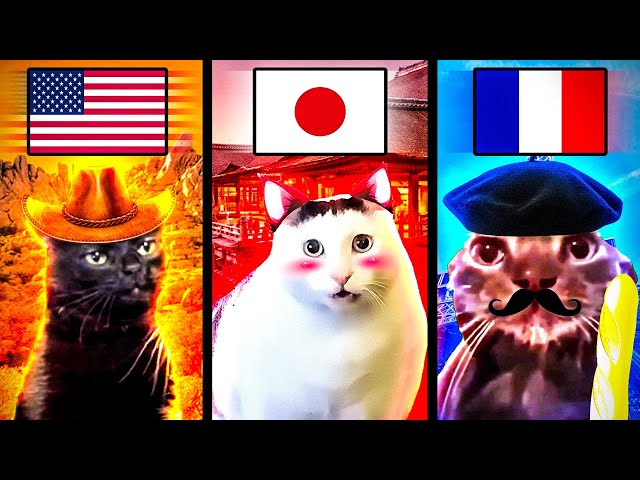 Meme Cats: Different Countries class=