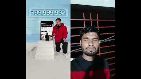 Can MrBeast Really Teach a Penguin to Subscribe? 🐧😂 | Epic Reaction!