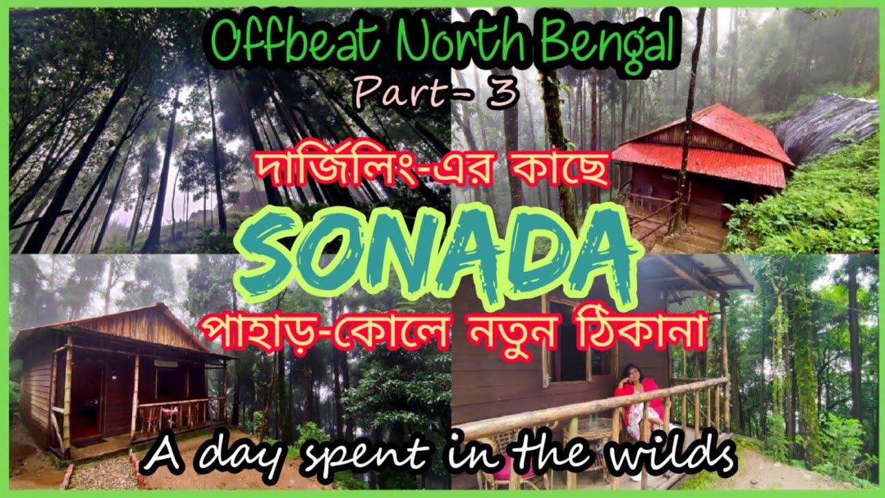 SONADA🌲🏠🌲Darjeeling || A day spent  in the serene wild 🍁🍂 বর্ষায় পাহাড় || OFF-BEAT NORTH BENGAL