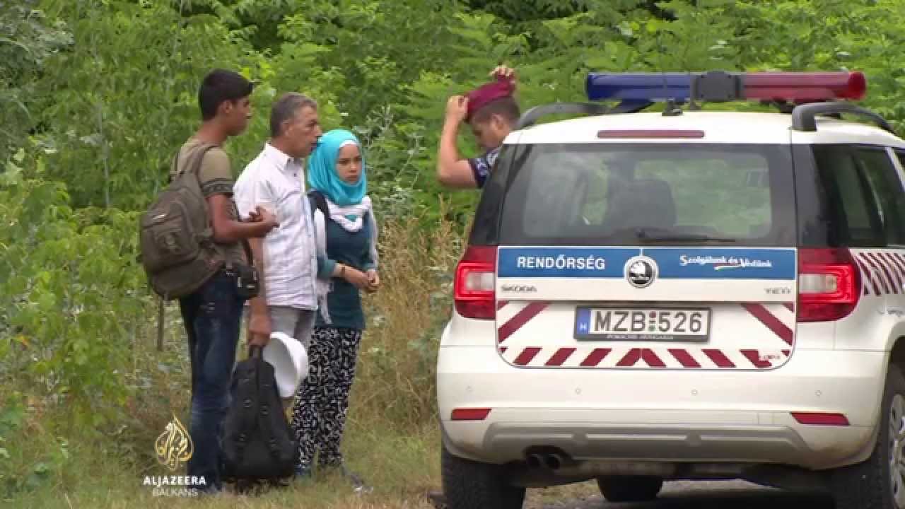 سياج يبلغ ارتفاعه أربعة أمتار على الحدود بين المجر وصربيا