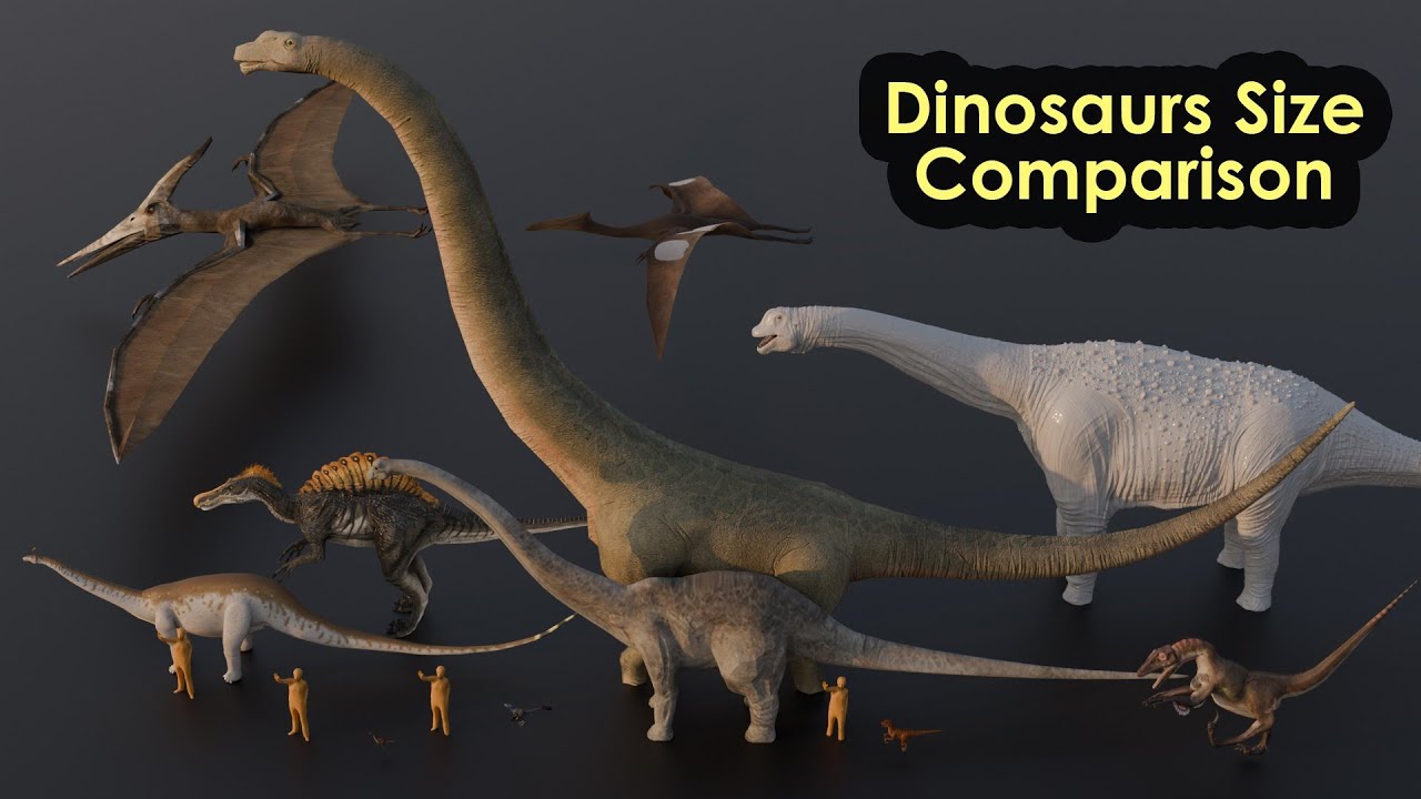 Dinosaur_Size_Comparison - YouTube