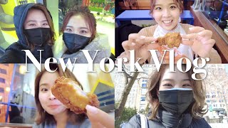 朝から晩までのんびり過ごす1日Vlog in ニューヨーク【海外在住CA】