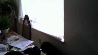 Capture 20100903