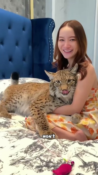 cat is cat no matter the size#cute #animal #lynx #cat - YouTube