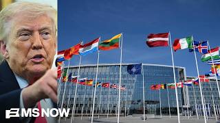 Was Iran a 'fair test' for our allies? John Kirby argues 'no' despite Trump's criticism of NATO