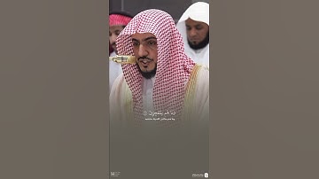 تلاوة من #سورة_الزمر #الشيخ_الوليد_الشمسان #المصحف #مكة_المكرمة #المدينة_المنورة #ترند #اكسبلور