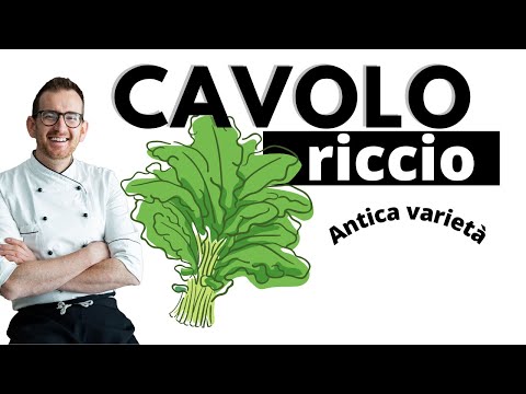 Video: Il cavolo riccio era una guarnizione?