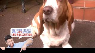 Albyn Townhouse, Edinburgh, United Kingdom, Review HD