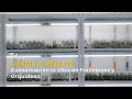 Ciencia al Rescate: Conservación In Vitro de Frailejones y Orquídeas - TvAgro por Juan Gonzalo Angel
