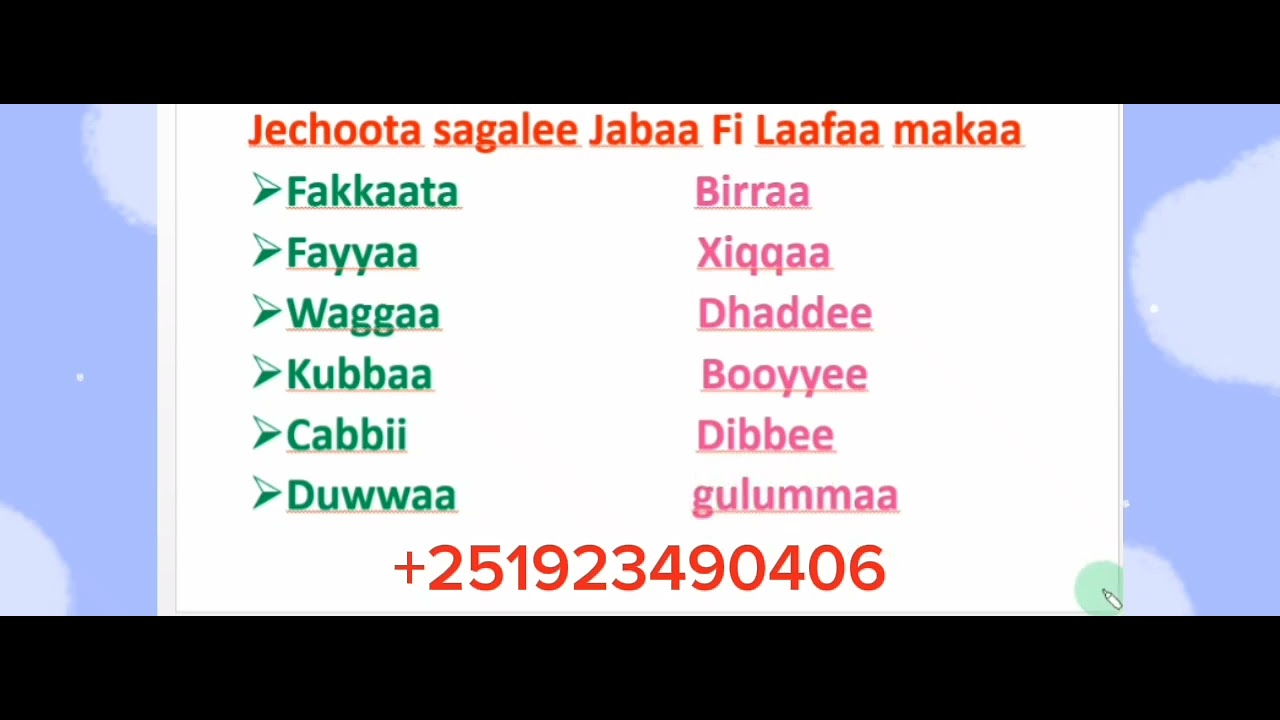 Afaan Oromoo Jechoota sagalee Jabaa Qaban #study Afaan Oromoo#Amharic# English lette