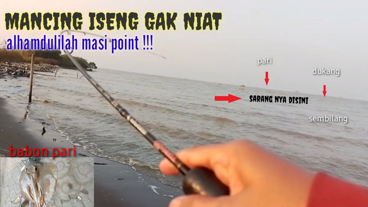 SPOT PASIRAN PANTAI KALI JAGA CIREBON# MANCING SINGKAT// ISENG// ALHAMDULILAH MASI ADA POINT !!!