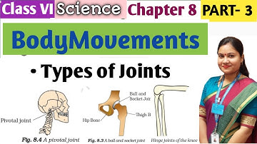 Body Movements Chapter 8 Class 6 /Part 3/ Type of Joints Explained | Class 6 Science Chapter 8