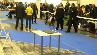 Arnero Sunnymoon Place