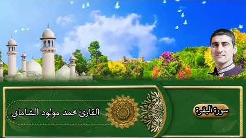 القارئ محمد مولود الشاماني سورة البقرة من الآيه ٢٢١ إلى الآية ٢٣٣