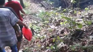 Download Lagu Air terjun jantur dora kutai barat MP3