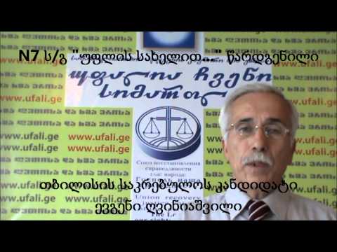 №7 ს/გ \"უფლის სახელით...\" წარდგენილი ევგენი ღვინიაშვილის მიმართვა