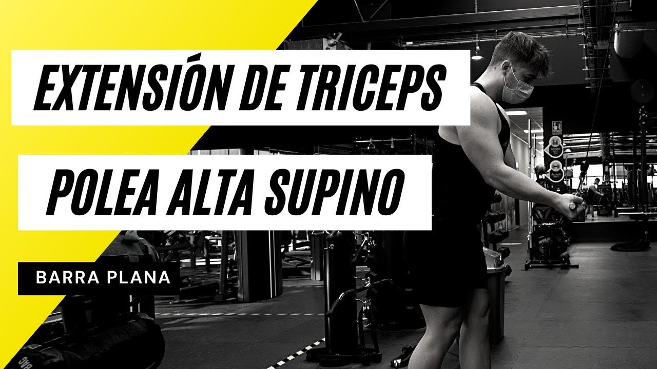 Extensión de Tríceps en Polea Alta con Barra Plana (Supino