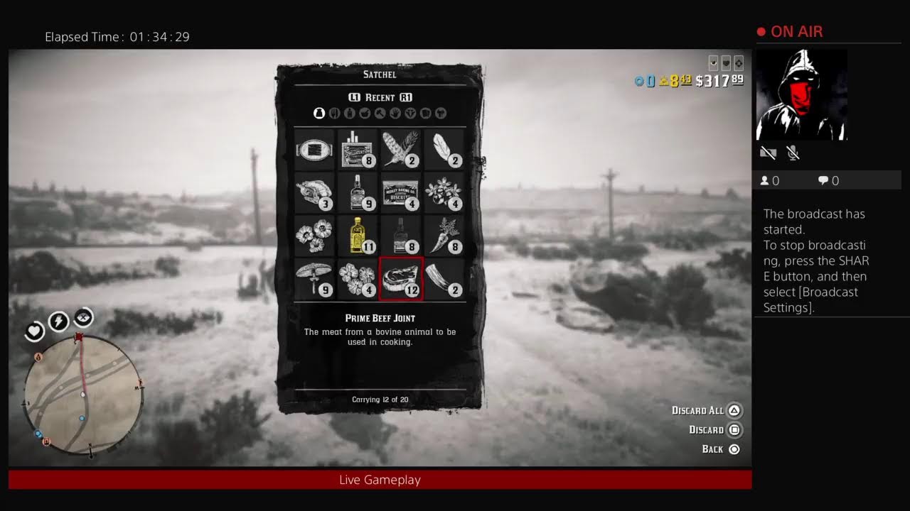 SWAGZILLA2U on Red Dead 2