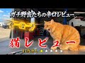 猫レビュー