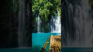 Vision To Explore Natures Magnificence