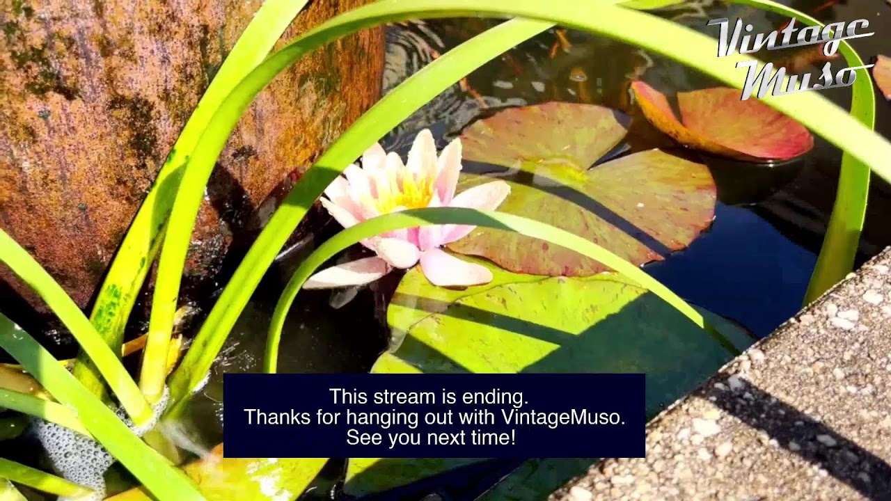 | VintageMuso time! | !sl !tip | Let's have some Music! |