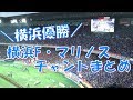 【横浜優勝】 横浜F・マリノス 応援歌・チャントまとめ｜J1第34節2019 vs FC東京