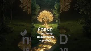 20260727 3 Video 6 nGRND com