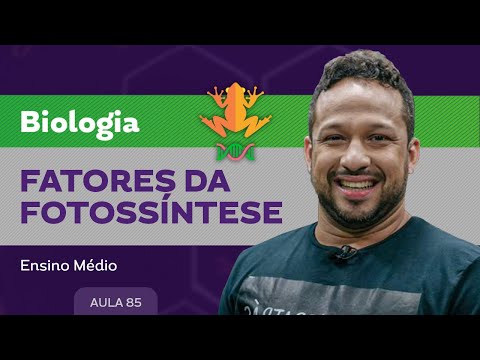 Fatores da fotossíntese - Biologia - Ensino Médio