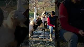 kısa bir değerlendirme toplantısında alınacak kararlar üzerinde derin düşünceler