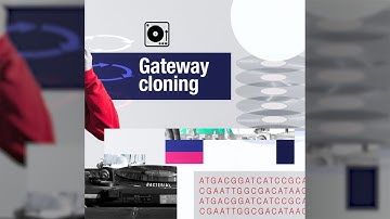 Gateway Recombination Cloning Technology