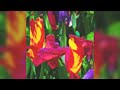 First look - GLIDE (300M) by OpenAI - Text to image, similar to CLIP, DALL-E, Launched Dec/2021