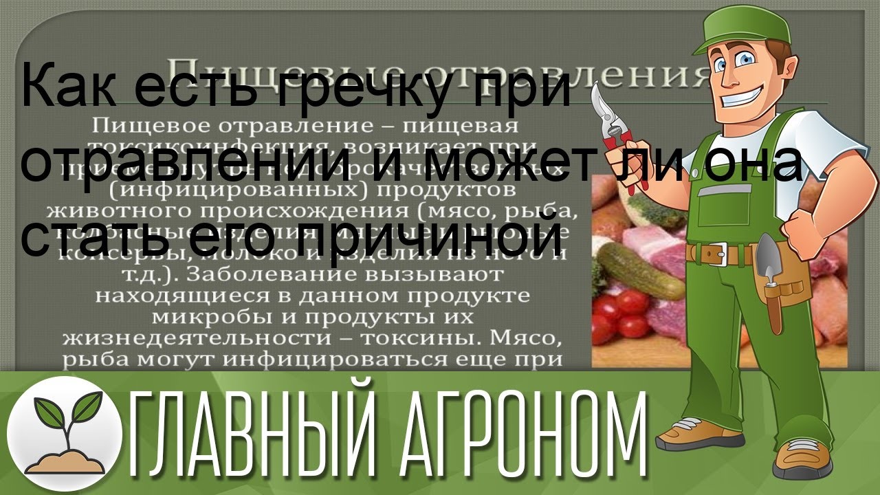 Как есть гречку при отравлении и может ли она стать его причиной