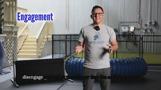 Master Dog Training: How to Introduce Markers and Rewards for Effective Behavior Training