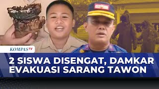 2 Siswa Disengat Tawon Vespa, Damkar Evakuasi Sarang di Sekolah | SAPA SIANG