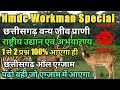 छत्तीसगढ़ राष्ट्रीय उद्यान एवं अभयारण्य || Nmdc Workman || Chhatisgarh All Exam ||