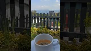 Her Şeye Rağmen Yaşamak Güzel