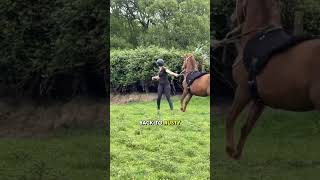 What really is a bomb proof horse With my video popping off on Facebook and too many comments to