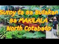 Plant Hunting at Makilala North Cotabato/Houseplant Philippines/Tisay Collection