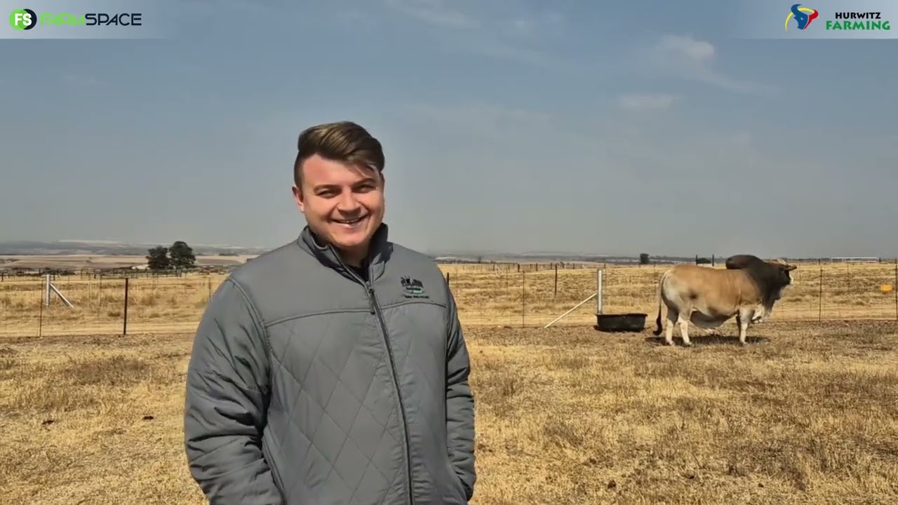Sterkfontein Borane belê al jare in Hurwitz Genetika.