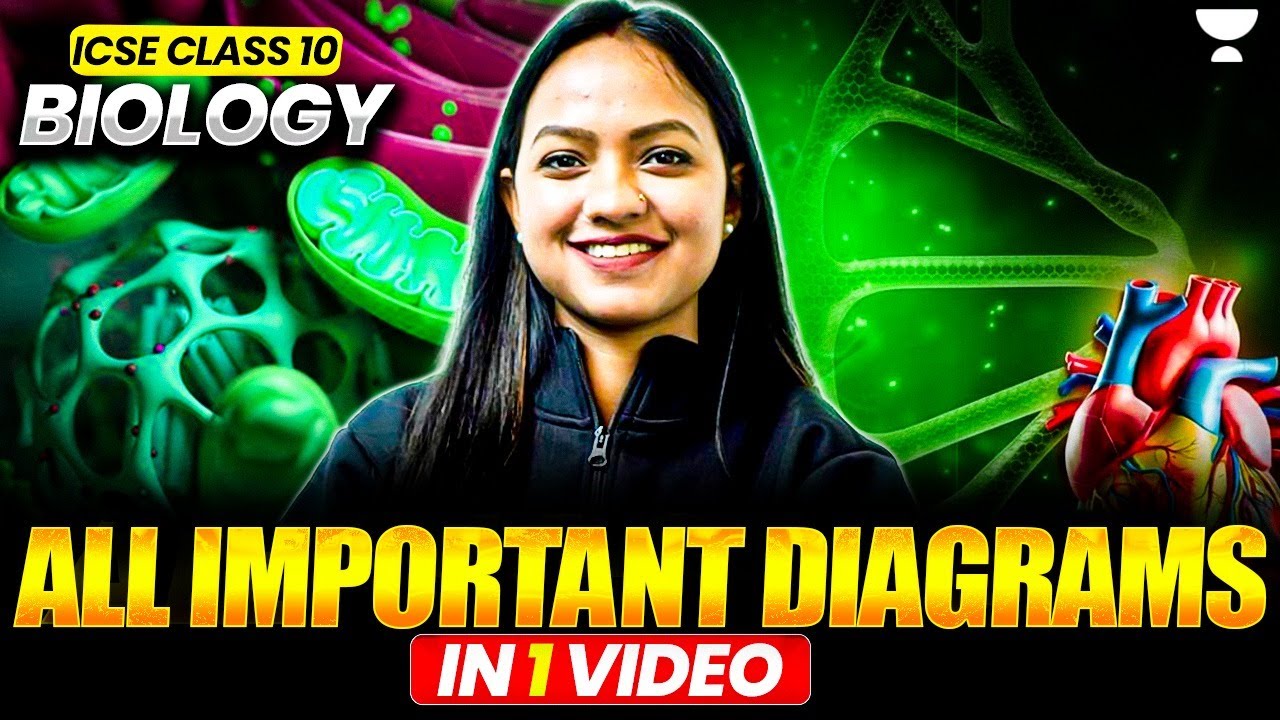 All Important Biology Diagrams In One Video | ICSE Class 10 | Boards ...