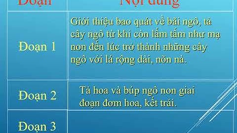 2-4, TLV, Bài: Cấu tạo bài văn miêu tả cây cối