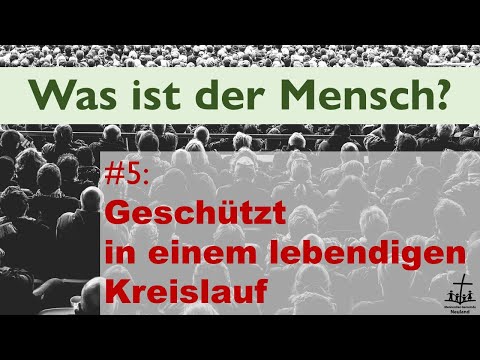 Video: So Entspannen Wir