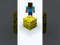 Minecraft Sponge FACTS