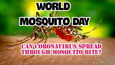 The Story Behind 'World Mosquito Day' | August 20
