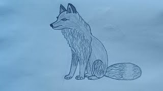 تعليم رسم ذئب بالرصاص خطوة بخطوة للمبتدئين/رسم سهل/how to draw a wolf